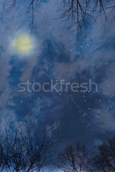 Night sky  Stock photo © Melpomene