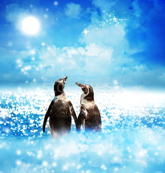 Pingvin pár éjszaka fantázia tájkép hullócsillag Stock fotó © Melpomene
