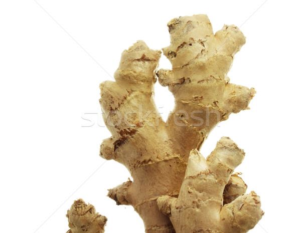 Ghimbir izolat alb gătit găti legume Imagine de stoc © Melpomene