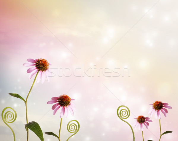 Stok fotoğraf: Bitki · fantezi · pastel · pembe · renkli · çiçek
