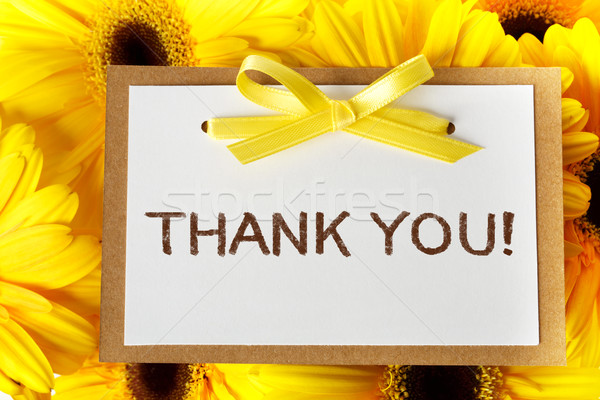 Thank you card with yellow gerberas Stock photo © Melpomene