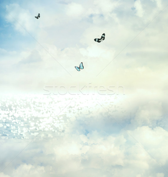 Kelebekler gökyüzü mavi ufuk su kelebek Stok fotoğraf © Melpomene