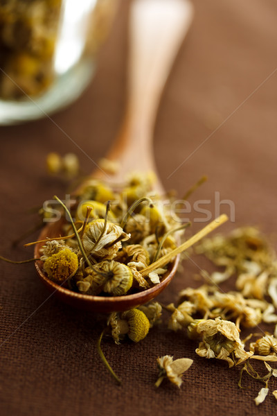 Secado manzanilla flores cuchara de madera hoja medicina Foto stock © Melpomene