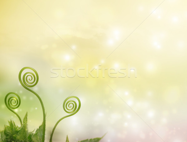 Plant tendrils on fantasy background Stock photo © Melpomene