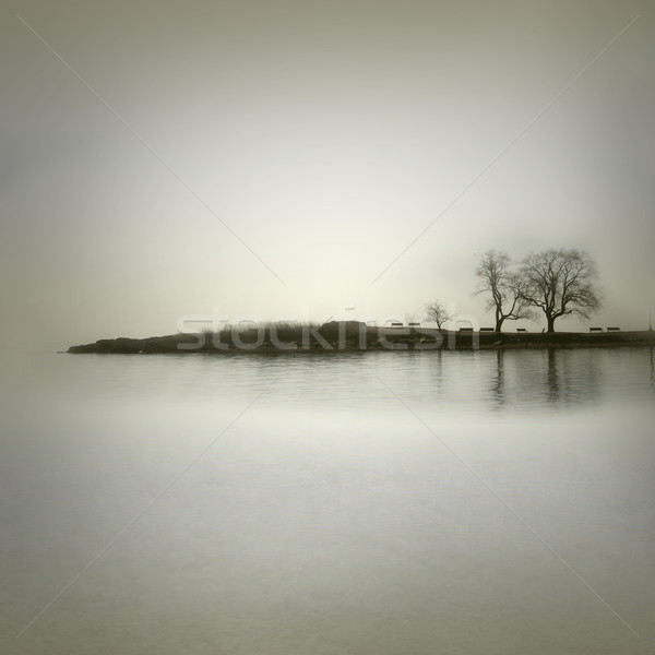 Landschap sepia geïsoleerd bomen hemel water Stockfoto © Melpomene