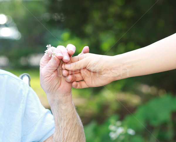 Giving a flower to senior lady Stock photo © Melpomene