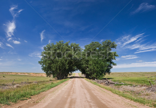 Stock photo: Wooden Gate