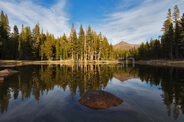 Piccolo lago yosemite national park tramonto view California Foto d'archivio © MichaelVorobiev