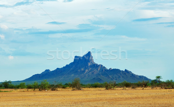 Picacho peak, Arizona, USA Stock photo © MichaelVorobiev