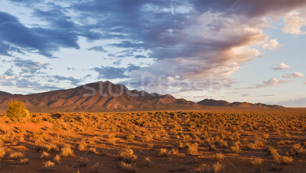 Flinders Ranges Stock photo © MichaelVorobiev