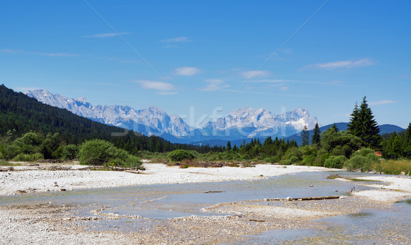 Rzeki alpy niebo krajobraz drzew zielone Zdjęcia stock © MichaelVorobiev