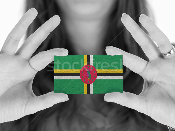 Mulher cartão de visita bandeira Dominica espaço Foto stock © michaklootwijk