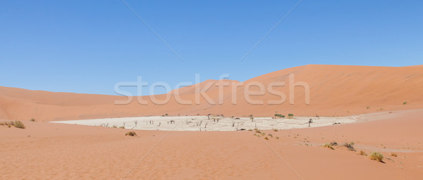 View over the deadvlei with the famous red dunes of Namib desert Stock photo © michaklootwijk