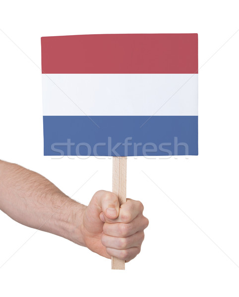 Hand holding small card - Flag of the Netherlands Stock photo © michaklootwijk