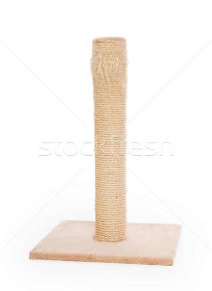 Cat scratching post Stock photo © michaklootwijk