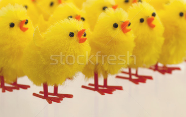 Stock photo: Abundance of easter chicks, selective focus