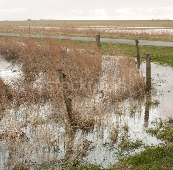Hochwasser holland Regen Sturm Fluss Zaun Stock foto © michaklootwijk