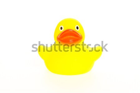Yellow duck isolated Stock photo © michaklootwijk