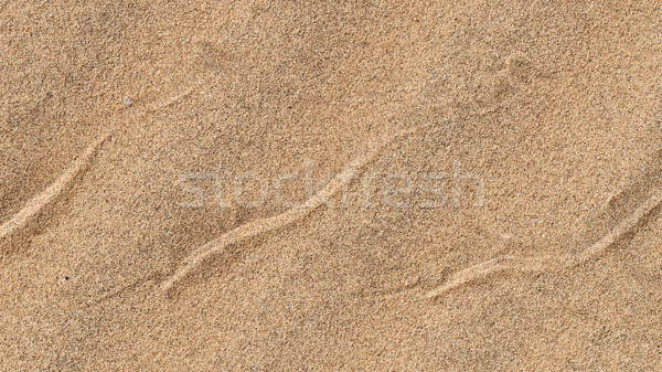 Sidewinding snake tracks across the sand Stock photo © michaklootwijk