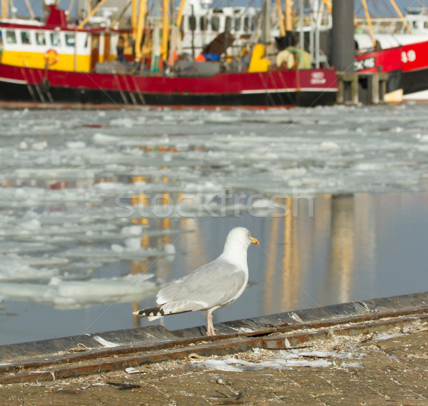 Fischerboot Wasser Natur Landschaft Meer Schnee Stock foto © michaklootwijk