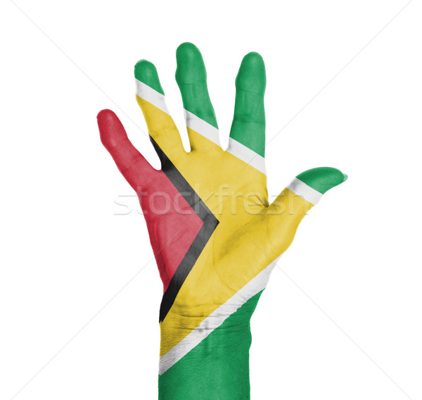 Palm vrouw hand geschilderd vlag Guyana Stockfoto © michaklootwijk