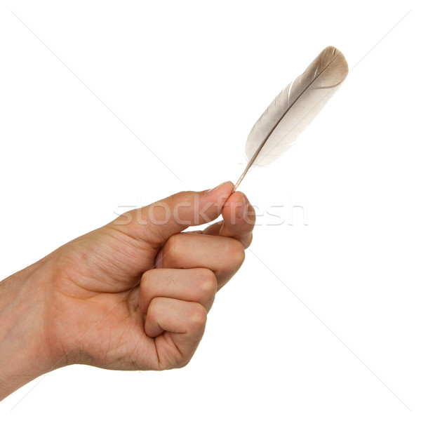 Foto stock: Hombre · pequeño · pluma · aislado · blanco