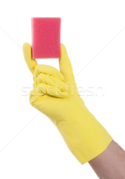 Mans hand in rubber glove with sponge isolated Stock photo © michaklootwijk