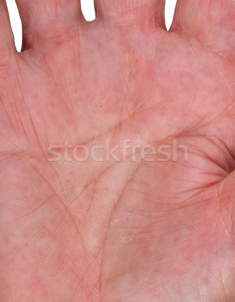 Hand of an old woman Stock photo © michaklootwijk