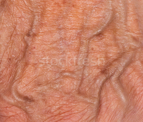 Hand of an old woman Stock photo © michaklootwijk