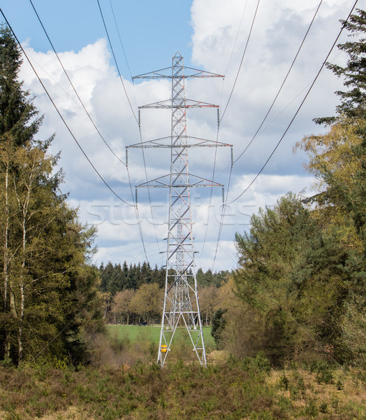 Large electric pylons Stock photo © michaklootwijk