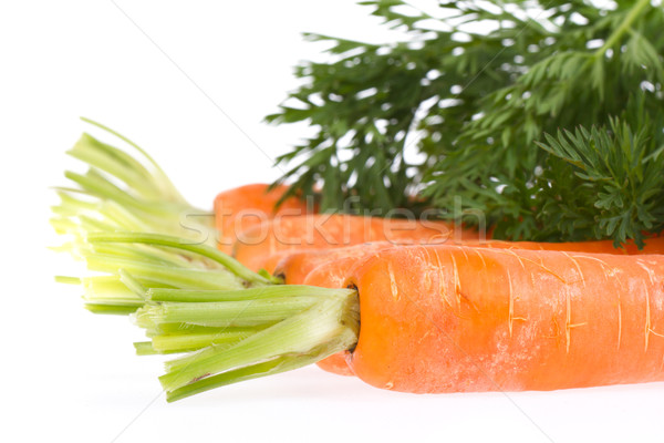 Heap Karotten isoliert weiß Natur Gesundheit Stock foto © michaklootwijk