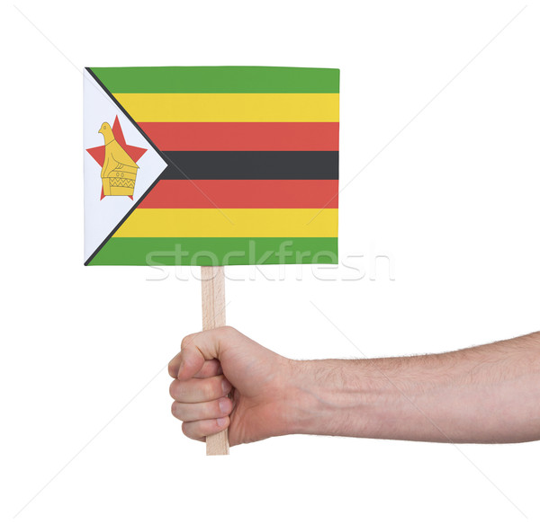 Kéz tart kicsi kártya zászló Zimbabwe Stock fotó © michaklootwijk