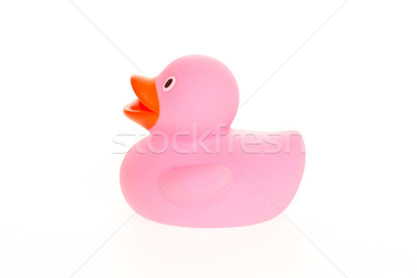 Pink duck isolated Stock photo © michaklootwijk