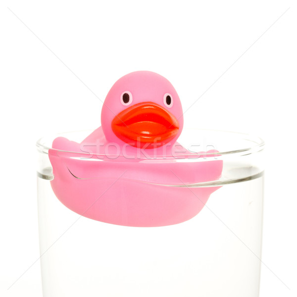 Pink duck Stock photo © michaklootwijk