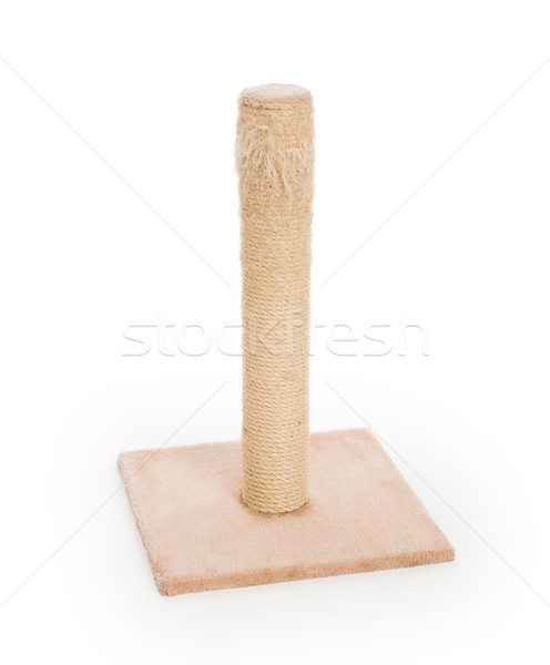 Cat scratching post Stock photo © michaklootwijk