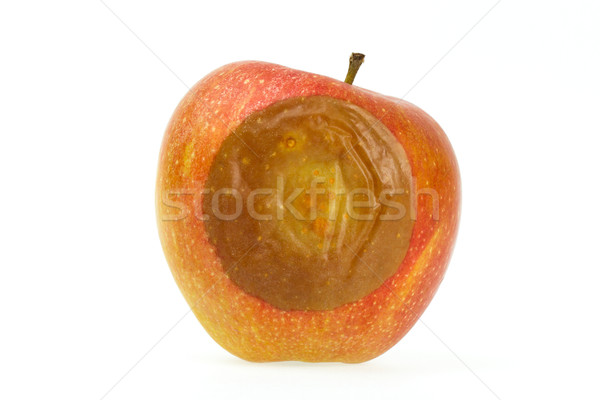 Bir kötü kırmızı elma yalıtılmış beyaz gıda Stok fotoğraf © michaklootwijk