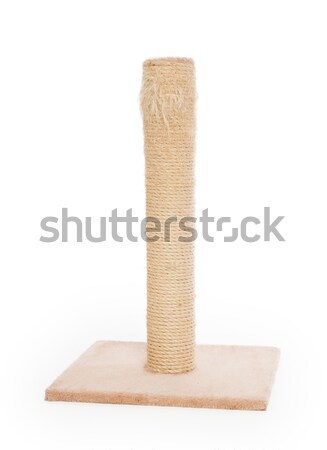 Cat scratching post Stock photo © michaklootwijk