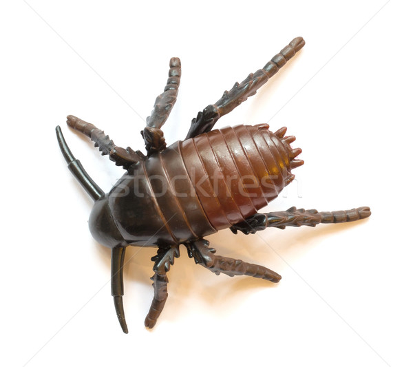 Plastic cockroach isolated Stock photo © michaklootwijk