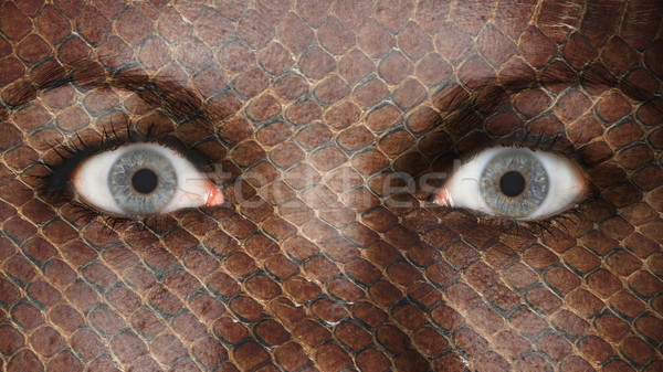 Mulheres olho olhos grande abrir Foto stock © michaklootwijk