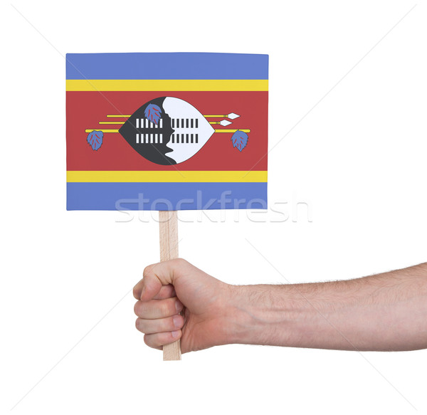 Kéz tart kicsi kártya zászló Szváziföld Stock fotó © michaklootwijk