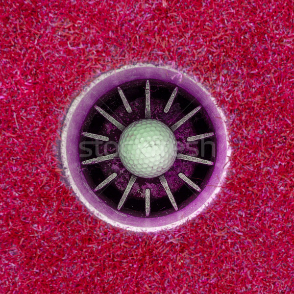 Loch ein Golfball Tasse rosa Gras Stock foto © michaklootwijk