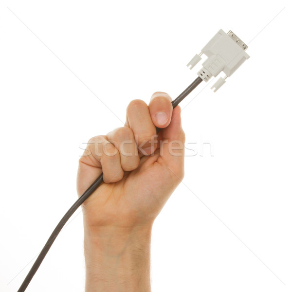 Hand holding a cable used for computers, isolated Stock photo © michaklootwijk