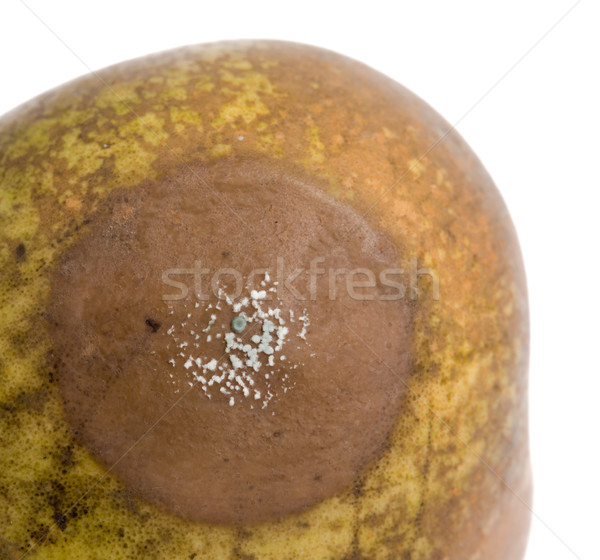 Close up of a pear with white area of fungus growing on it, sele Stock photo © michaklootwijk