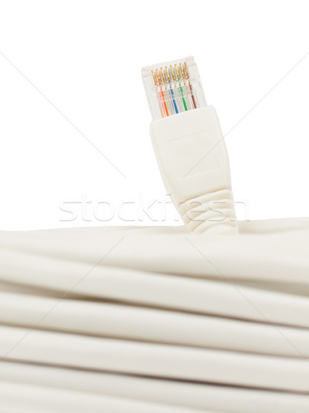 Foto stock: Primer · plano · blanco · red · plug · ordenador · resumen