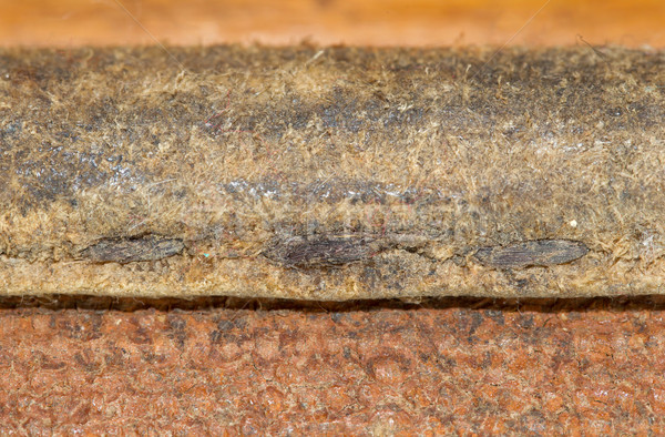 Close-up of old stiches in leather Stock photo © michaklootwijk