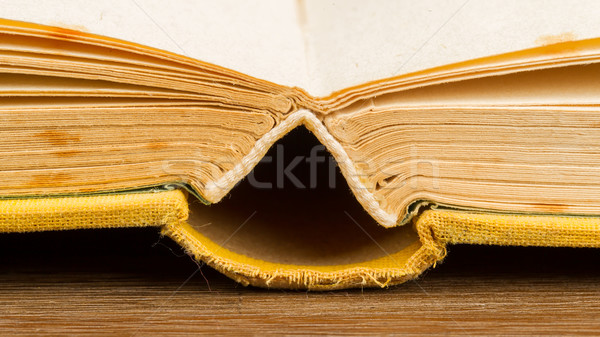 Old book fanned open Stock photo © michaklootwijk