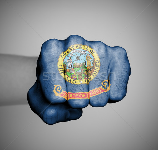 United states, fist with the flag of a state Stock photo © michaklootwijk