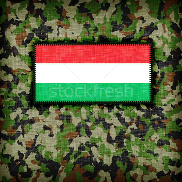 Amy camouflage uniform, Hungary Stock photo © michaklootwijk