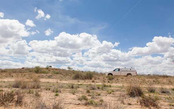 Auto vuota deserto Namibia strada campo Foto d'archivio © michaklootwijk
