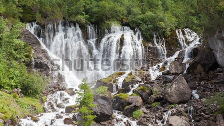 Wasserfall Wald Wasser Schweiz Sommer grünen Stock foto © michaklootwijk